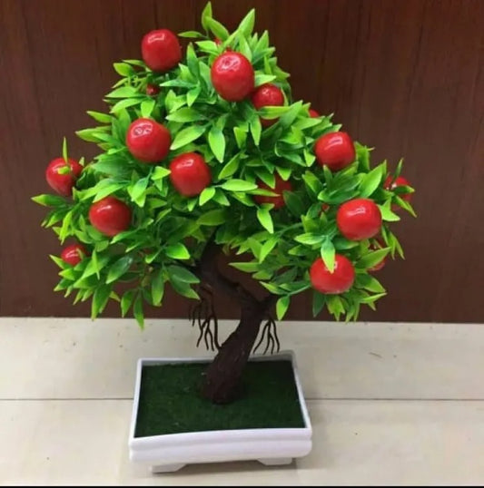 Beautiful Fruit Bonsai Tree for Home Decor